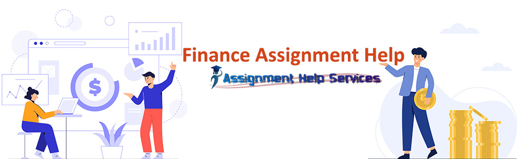 finance research project assignment