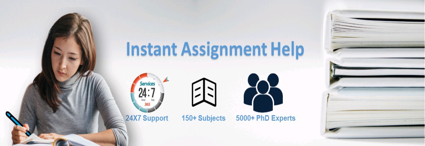 instant assignment help uk